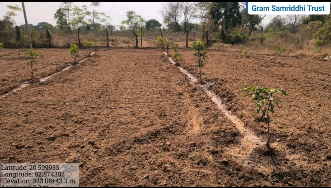 GramSamriddhi's tweet photo. Sri.Jadab Karuan, a skilled #farmer initiated mix fruits #orchard in 2 acres. After 03 years, he will earn near about 5.0 lakh. The main objective of these initiatives are #Livelihood &amp; economic security besides minimising #carbon footprint.
#Agroforestry #Plantation #CSR #Odisha https://t.co/DDryghhDXs