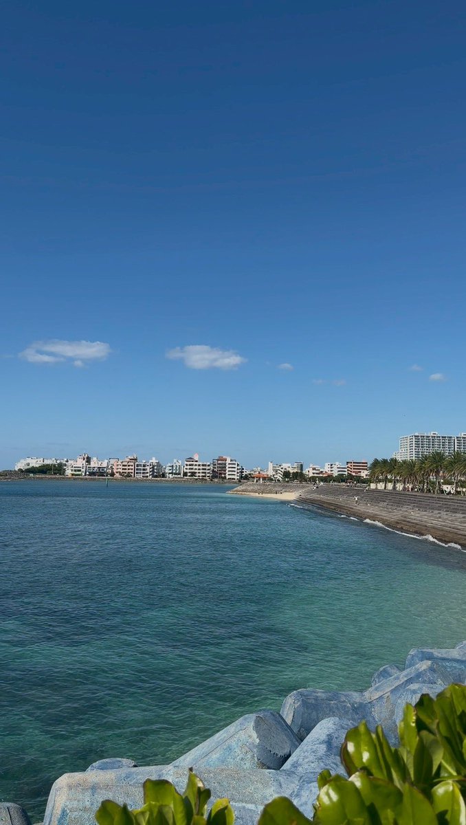 ワニ@インスタ3億 tweet media