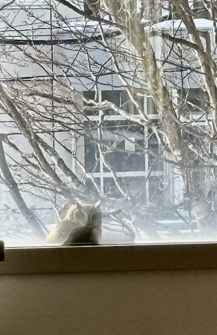 室蘭工業大学 | Muroran IT tweet media