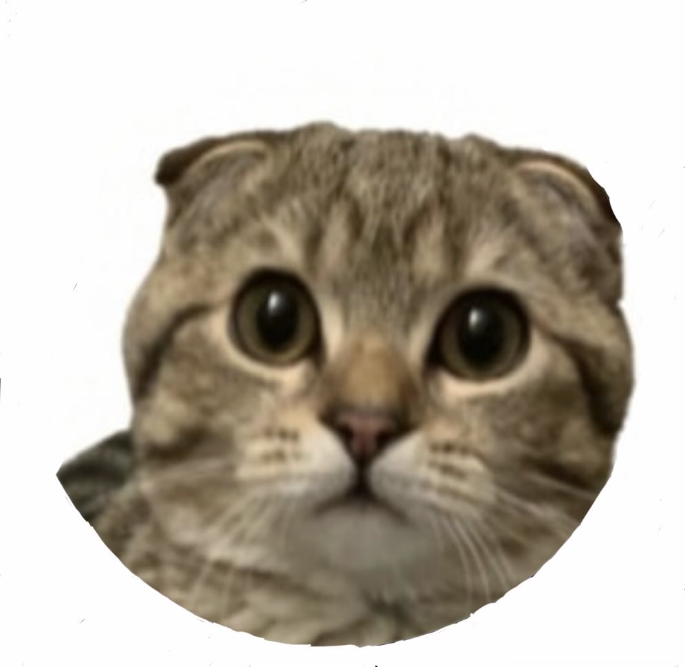 dont follow me tweet media