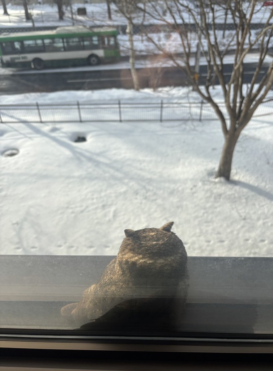 室蘭工業大学 | Muroran IT tweet media