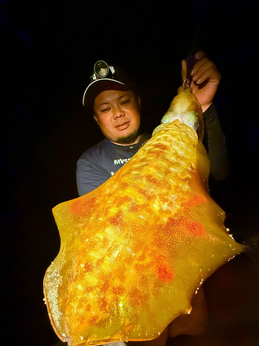 yu_fishing tweet media