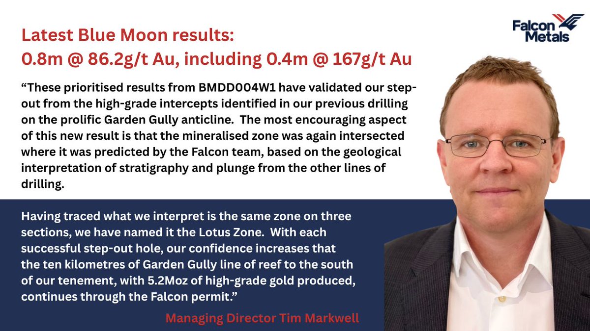 Falcon Metals Limited (ASX: FAL) tweet media