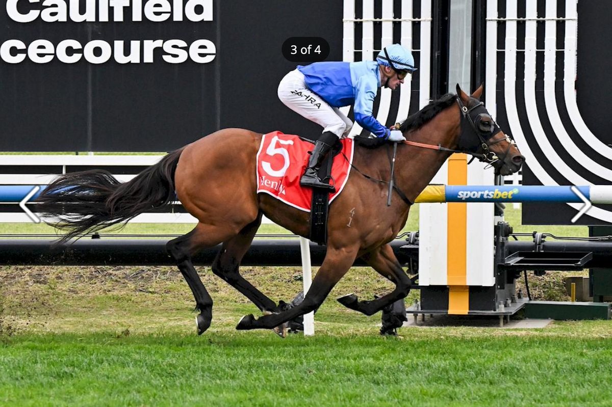 FreedmanRacing's tweet photo. “He’s got a great Caulfield record, and 1100 metres first-up suits him,”

READ: https://t.co/KUYzeXbdYT https://t.co/SZi7Ohca7U