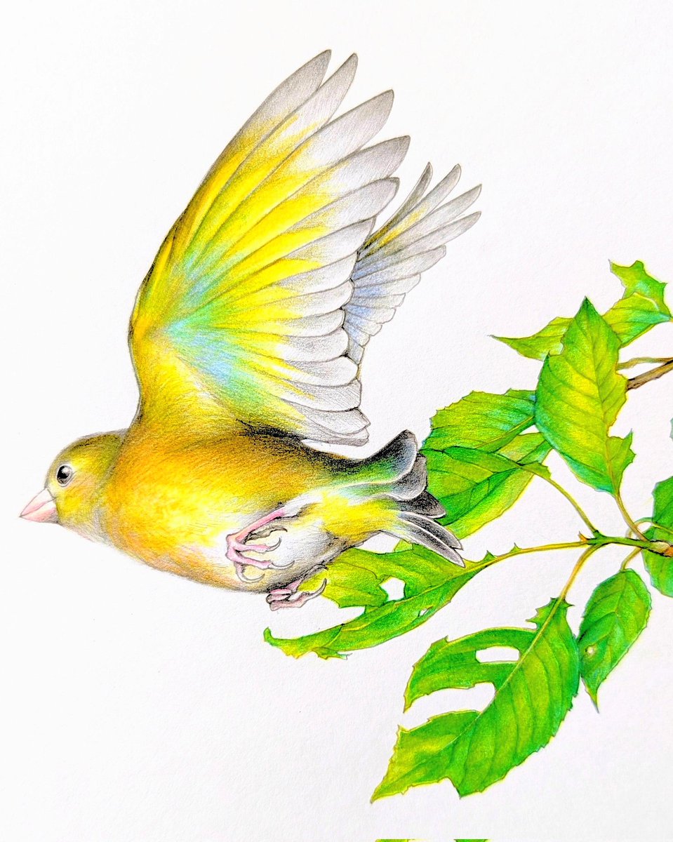 こんにちは♪ 何時も絵を見てくださり ありがとうございます。 とても