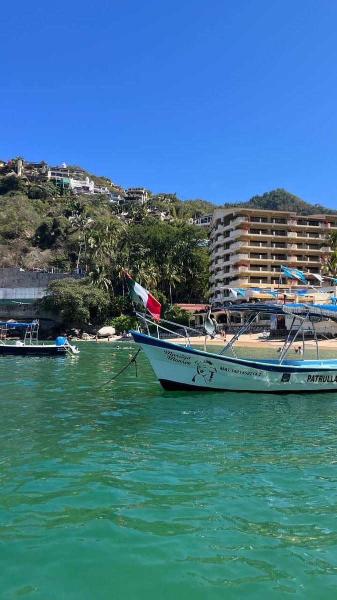 Producer Tom for a free Palestine 🇵🇸 tweet media