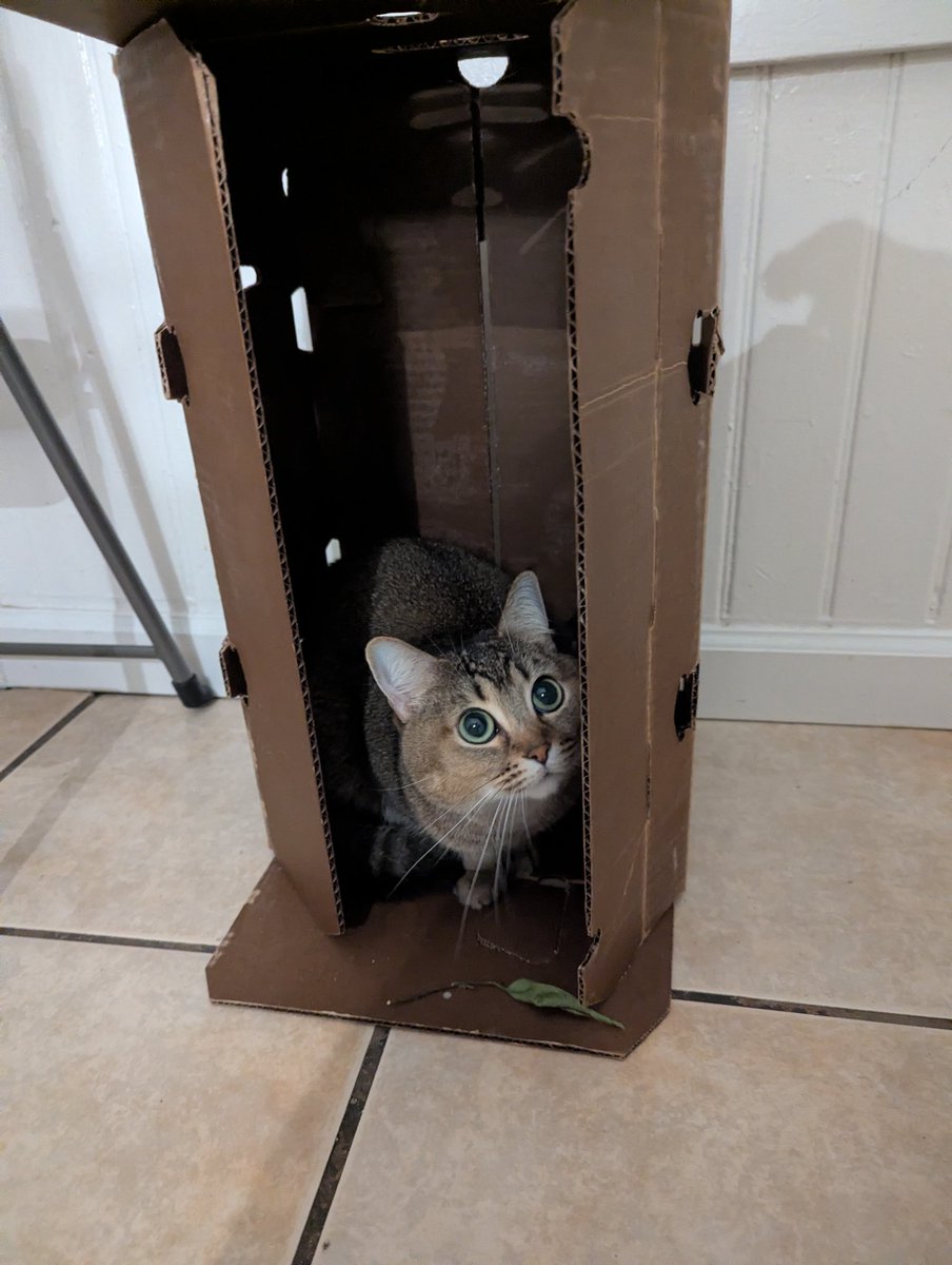 honey proud homeowner and front garden haver. sure it's one room and one leaf but she's movin on 🆙