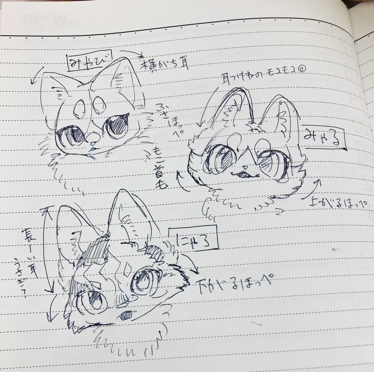 竹千代Takechiyo🌞 (@Phyllosta_tiyo) / Posts / X