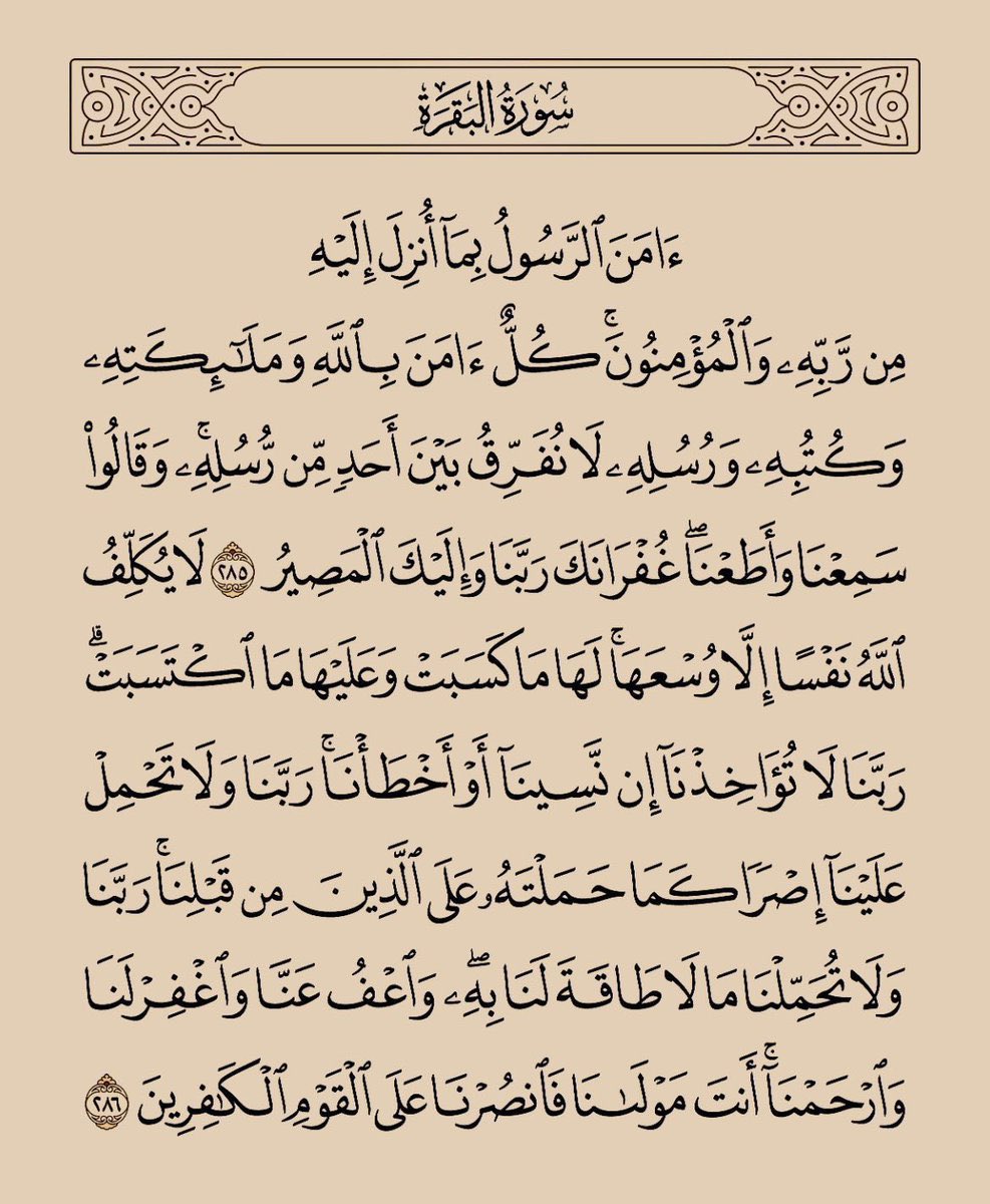 العذيــــــــة ..🪴 tweet media