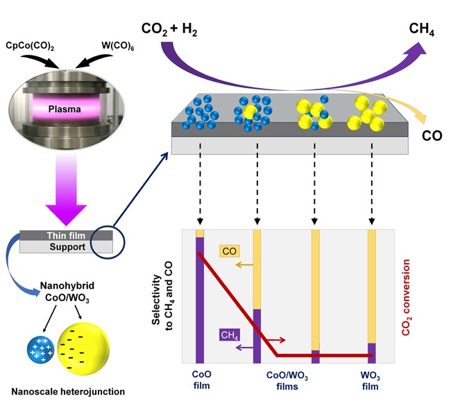 Advanced Portfolio News tweet media