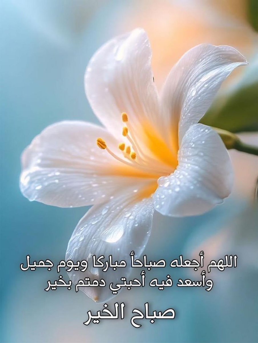 Ali..Alyami tweet media