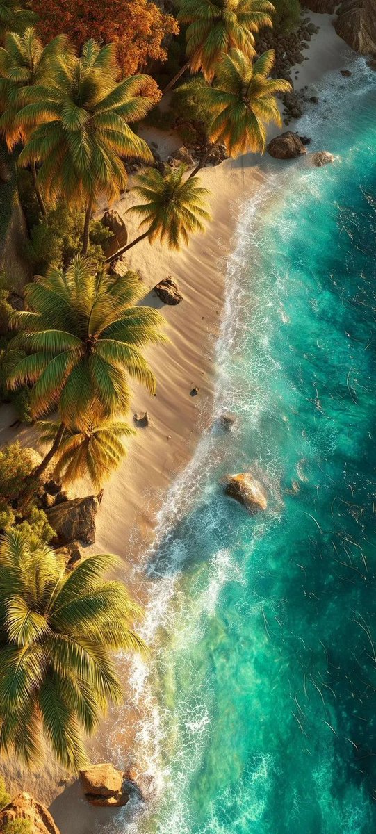 Good day for you 🌄