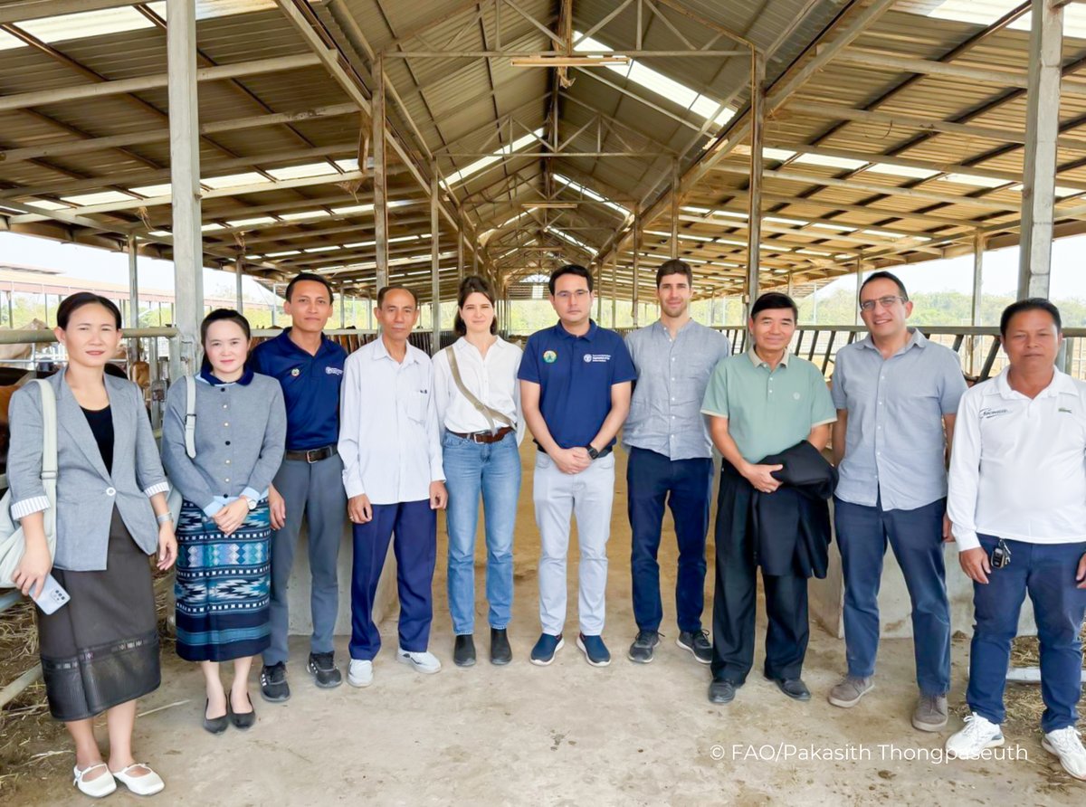 FAO in Lao People's Democratic Republic tweet media