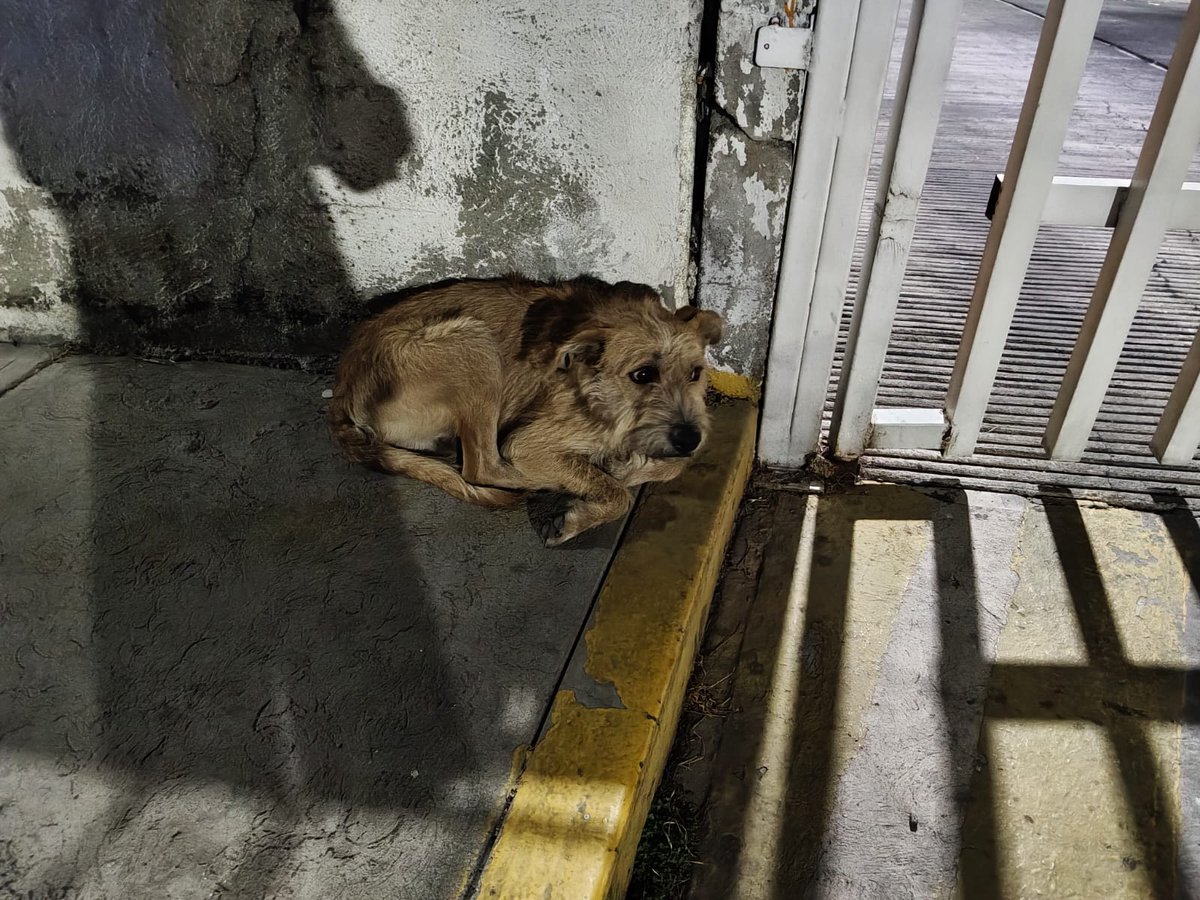 🅿🅴🆁🆁🅾🆂🅾🆂🅼🆇 tweet media