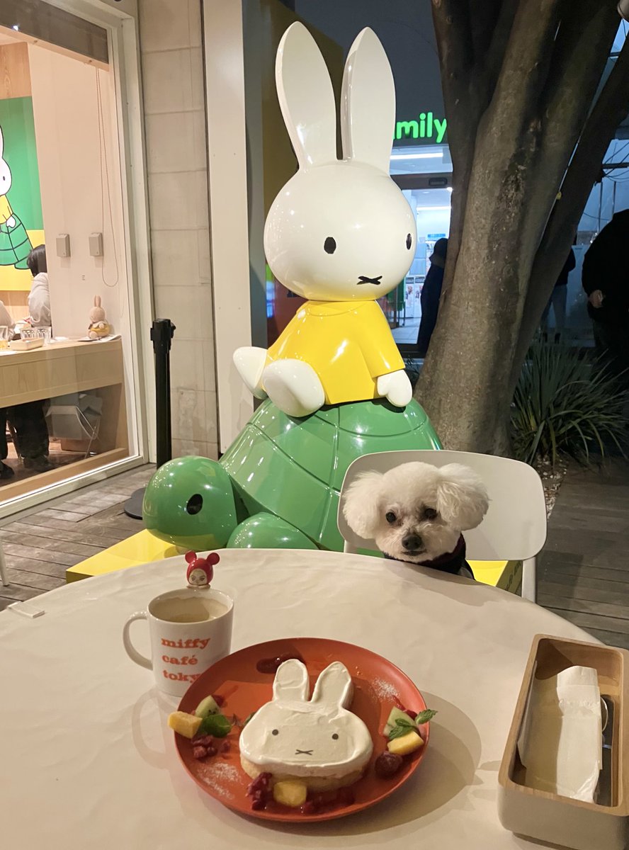 🐶ミッフィーさんと💕