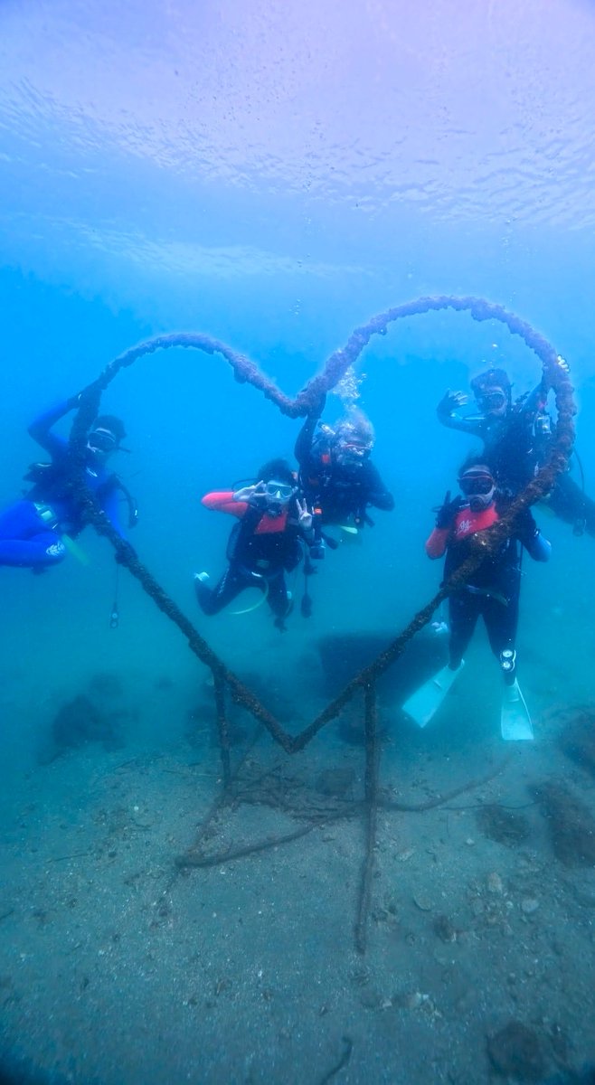 diving_nimo's tweet photo. 2026年新入生大募集！！
こんにちは！
帝京平成大学と帝京大学合併のスギュバーダイビングサークル「Diving circle Nimo｣です！！！
活動内容としては、
ダイビングをしたり、スノボーしたりBBQクリスマスになるとクリスマスパーティーを開催したりします✌️🤿🏂🎄🍖
少しでも興味ある方是非✉️😊 https://t.co/LLayrHo6VN