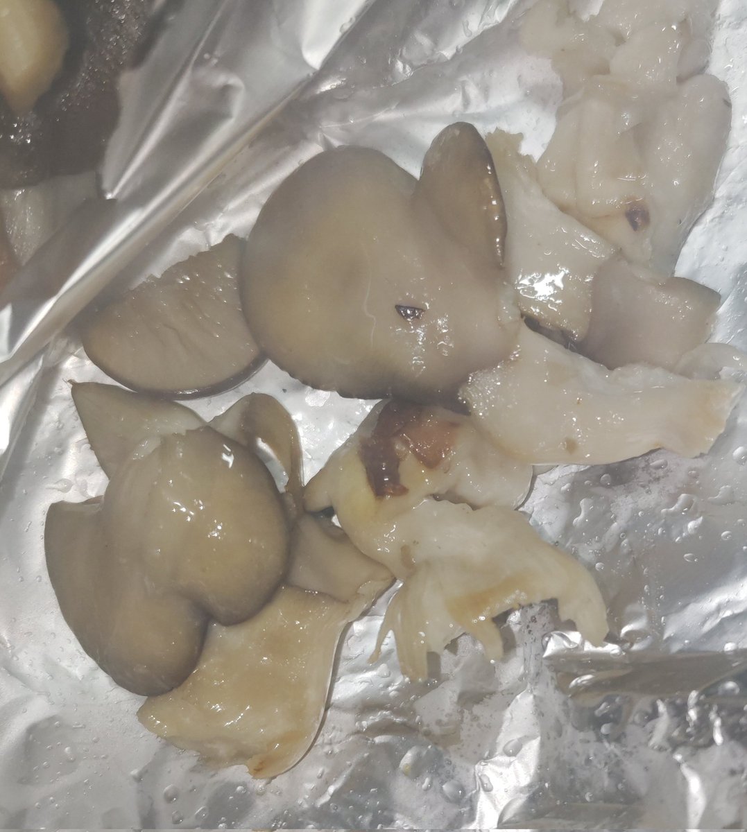 DINO2cookie's tweet image. 性懲りもなくインムクワガタの菌糸ビンからインムヒラタケが株を出してきてムカついたから炒めて食べた
結果として市販のヒラタケより何倍も味と香りが濃くてなんだけこれはたまげたけぇ…