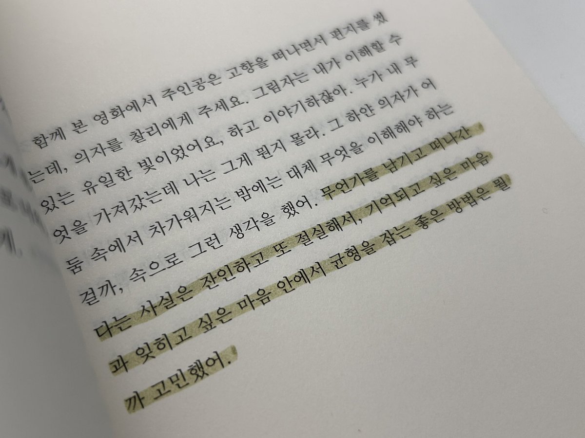 김주먹 tweet media