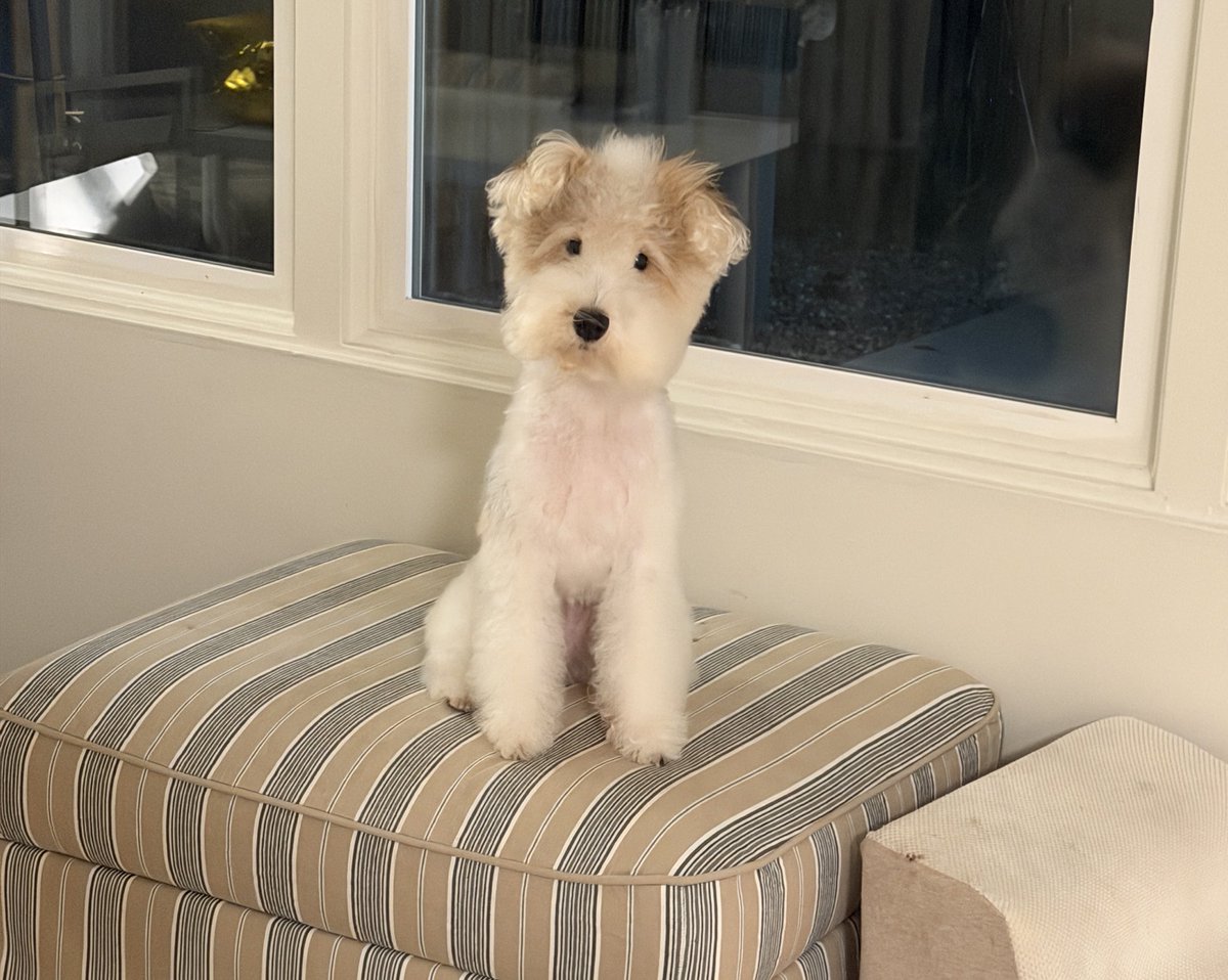 호밀빵의 파수꾼 tweet media