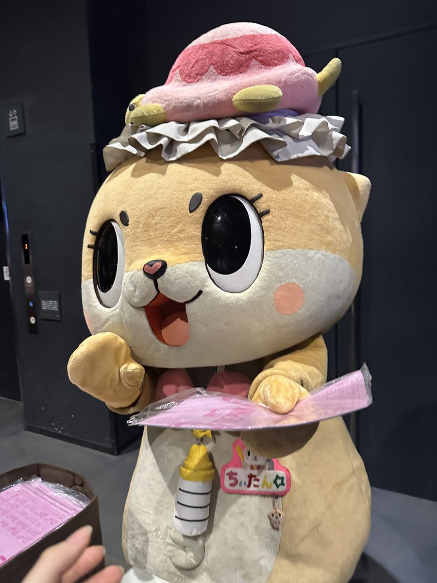 Higuchi_Kei @chiitan7407 @koresawa_519 ちぃたんからフライヤー