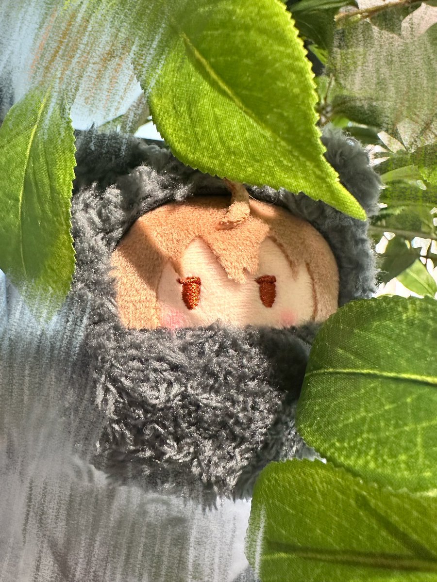 のあ🍑からぴち (@mumu_mumu09) / Posts / X