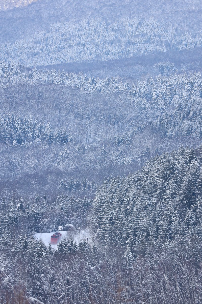 kihalisu's tweet photo. 2026.2/14 宗谷ラッセル
風景メインに4枚
塩狩峠クリスマスツリー俯瞰を撮れて満足 https://t.co/61OuQW1QJC