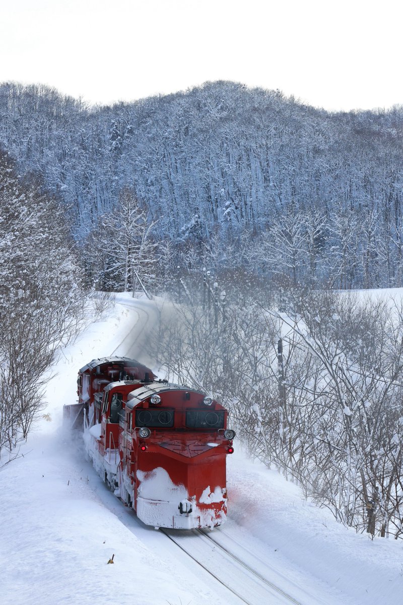 kihalisu's tweet photo. 2026.2/14 宗谷ラッセル
風景メインに4枚
塩狩峠クリスマスツリー俯瞰を撮れて満足 https://t.co/61OuQW1QJC