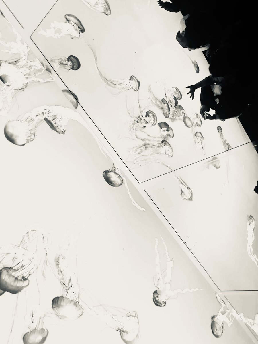 Manchind's tweet photo. Float like a jellyfish https://t.co/9orCov3sDy