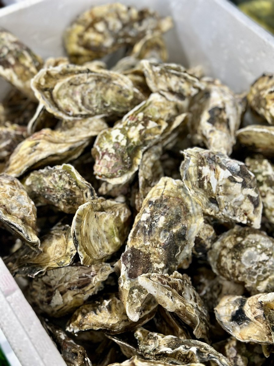 楽しい朝の百旬館☺️
帰京前の朝は博多の街を駆け回ります💨
#博多の街歩き