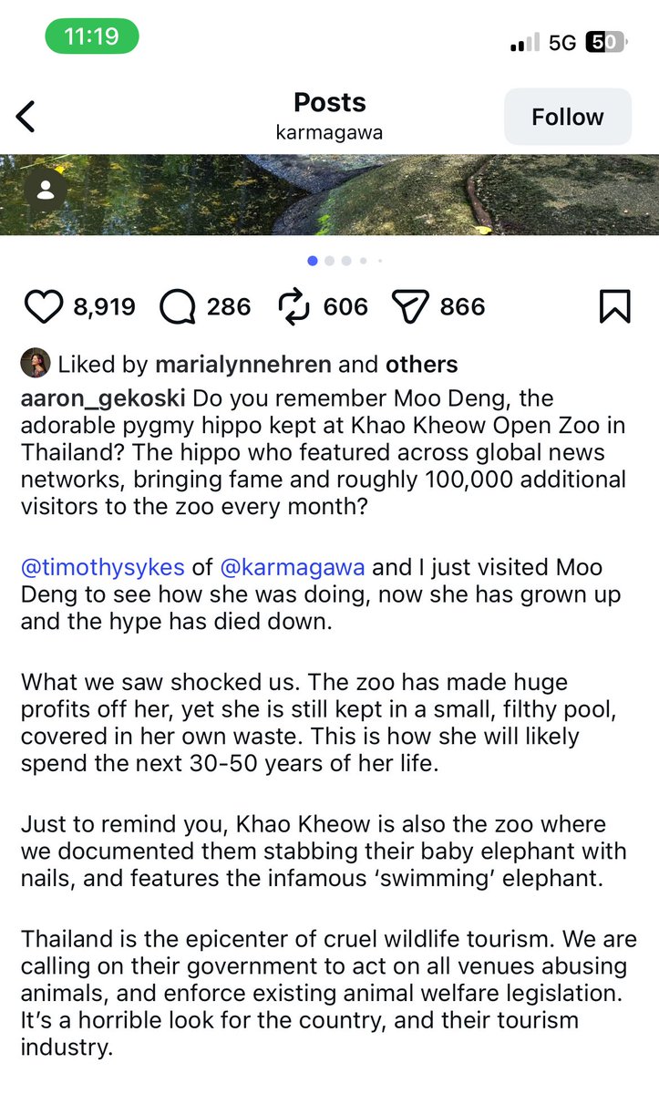 ก้ไป ref มาจากเพจคนขาวที่ไม่ได้รู้อะไีรเลยกับระบบสวนสัตว์ในไทย😞 พิมแบบเดียวกันเป้ะ ๆ บางทีใช้บริบทสังคมนู่นมาตัดสินประเทศไทยไม่ได้หรือเปล่านะ