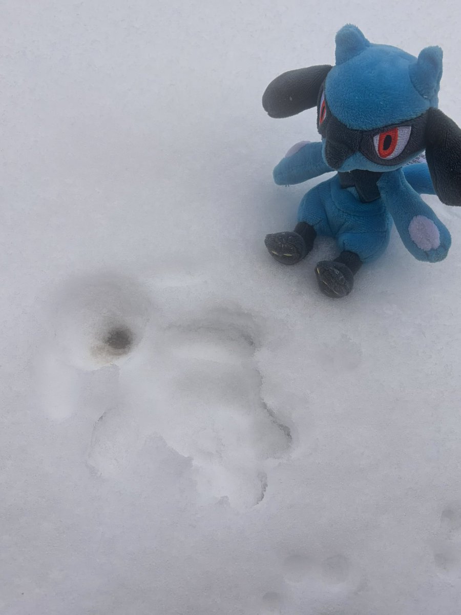 opps!! (@808080ps) on Twitter photo 