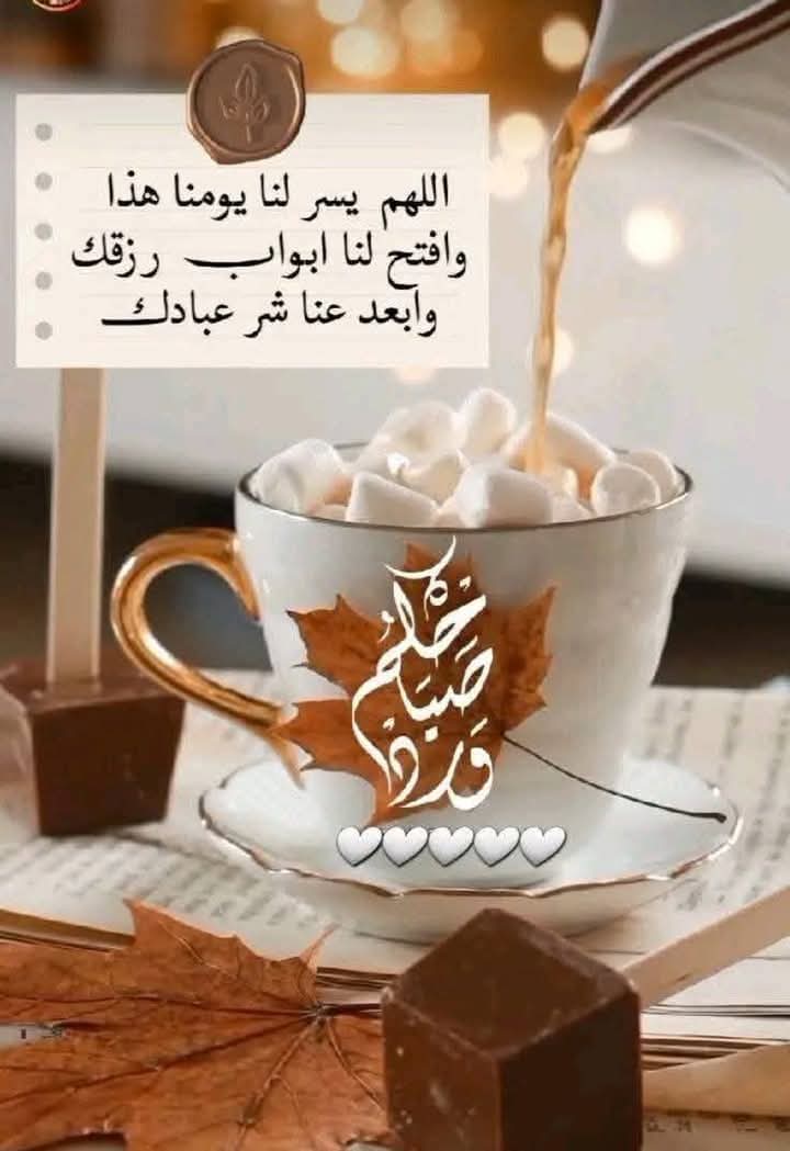 waleedpapers's tweet photo. صباح الخير 🥱 https://t.co/YbY5jq5oNm