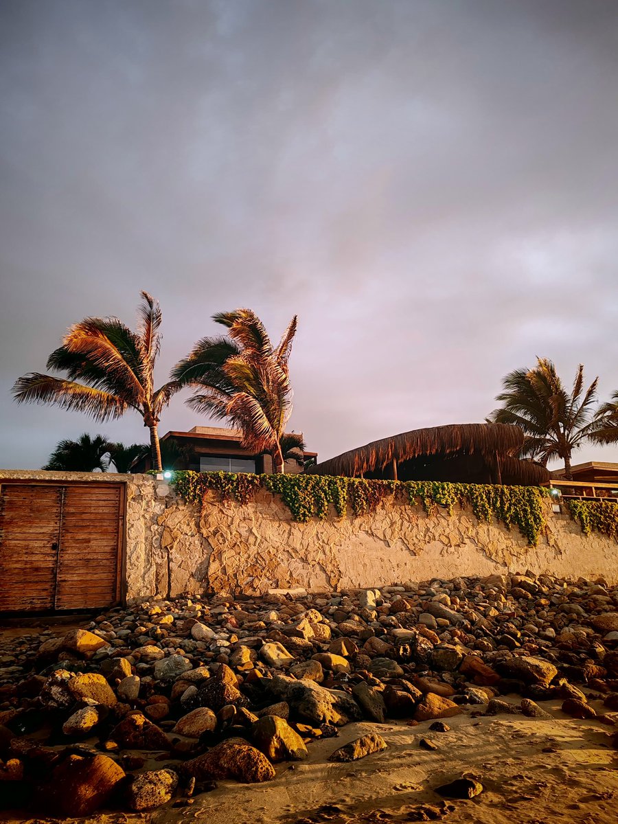 Jess 👾 tweet media