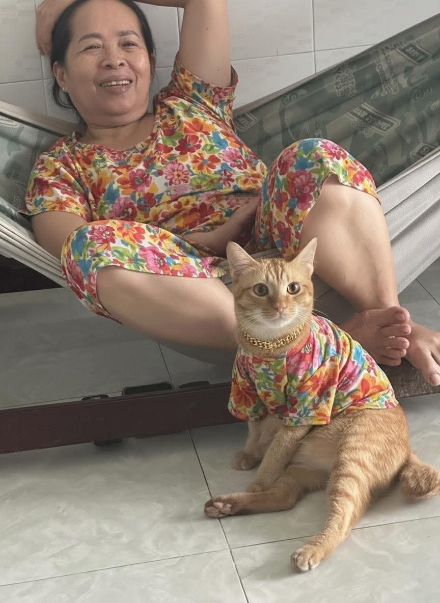 The Cats 𝕏 (@thecatsx) on Twitter photo 