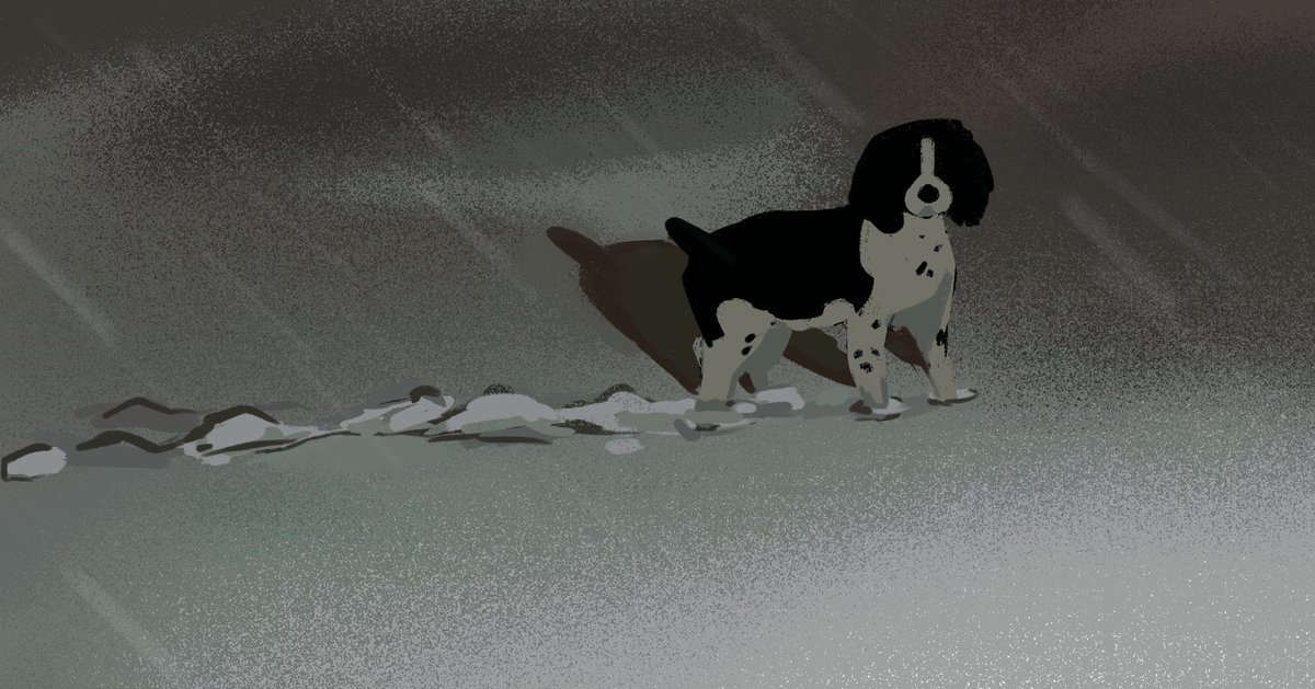 allie🐛 tweet media