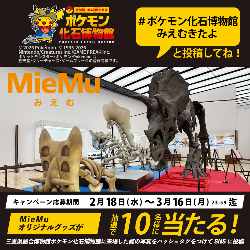 mie_pref_museum's tweet photo. 🎁三重県総合博物館SNS広報キャンペーン実施中🎁

MieMuオリジナルグッズが10名様に当たる！🎉

✅応募方法 ご自身のアカウントで三重県総合博物館「ポケモン化石博物館」
に来場した際の写真を【#ポケモン化石博物館みえむきたよ】と
ハッシュタグをつけてXに投稿。応募期間前に撮影した写真も可能です。
✅応募期間 令和8年2/18(水)から令和8年3/16(月)23:59まで
[ポケモン化石博物館]の開催を記念して、三重県総合博物館ポケモン化石博物館に来場した際の写真をハッシュタグをつけてXに投稿で、抽選で10名様にMieMuオリジナルグッズをプレゼント！皆様のご応募をお待ちしております。

ポケモン化石博物館HP→ https://t.co/QYkC1FVlox
ぜひこの機会にポケモン化石博物館にご来場ください！

ーーーーーーーーーーーーーーーーーーーーーーーーーー
ご応募いただいた方は、以下応募規約を了承したものとみなします。
ご応募前に必ずご確認ください。

［応募規約］
◆選考・結果発表
・応募期間終了後、厳正な抽選の上、当選者の方にはDM（ダイレクトメッセージ）にてご連絡いたします。
・DM送付をもって、当選発表に代えさせていただきます。

◆応募条件
・日本国内にお住まいの方
・応募規約に同意された方
※未成年の方は、保護者の同意の上、本キャンペーンの応募をお願いいたします。​

◆以下の場合はご応募が無効となります
・投稿の文面について、本キャンペーン主催者が不適切と判断した場合
・投稿した写真が当館の会場以外である場合
・投稿した写真に著作権上の問題が認められた場合
・ハッシュタグに誤りがあった場合
・応募したアカウントを非公開設定にした場合
・賞品発送に関して、誤った送付先情報を提供した場合
・本キャンペーン主催者が指定する期日までに送付先情報をご提供いただけない場合

◆個人情報の取り扱いについて
・ご提供いただく個人情報は、賞品発送のみで使用し、賞品発送確認後、一定期間経過後に破棄いたします。

◆その他
・本キャンペーン主催者は、お客様の本キャンペーンへの参加によって、お客様とそのほかの第三者との間で生じたいかなる紛争についても、その原因の如何を問わず、いかなる責任も負担しないものとします。
・当選で得た権利は、ほかの人に譲渡することはできません。
・本キャンペーンはX社の提供・協賛によるものではありません。お客様は、X社の定める利用規約を遵守するものとし、自己の責任において本キャンペーンへ参加するものとします。
・応募の有効/無効のほか、抽選方法および当選結果に関するお問い合わせにはお答えいたしかねます。
・本キャンペーンに関する問合せはキャンペーンページポケモン化石博物館の（問合せ先）をご確認ください。
キャンペーンHP → https://t.co/eXb674Tk0g