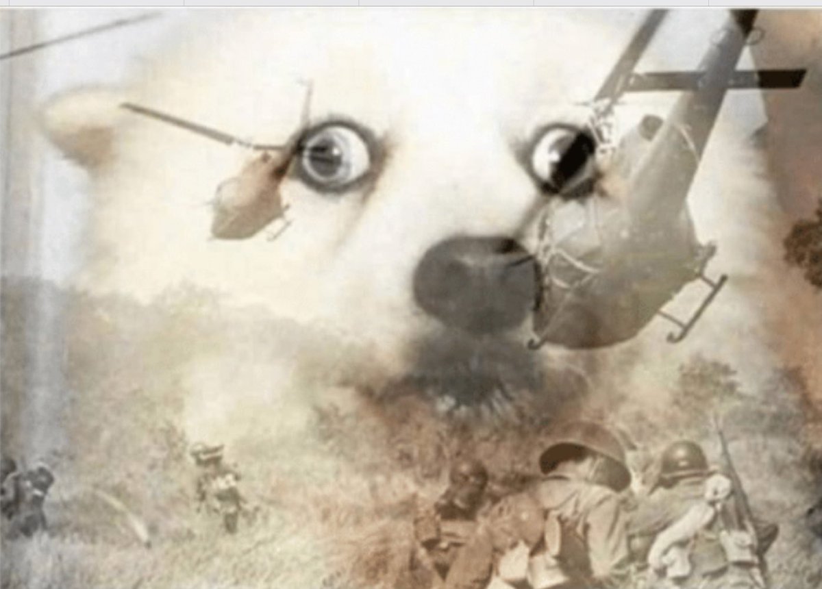 𝔰𝔥𝔦𝔱𝔱𝔶 𝔥𝔞𝔦𝔯 🪳 tweet media