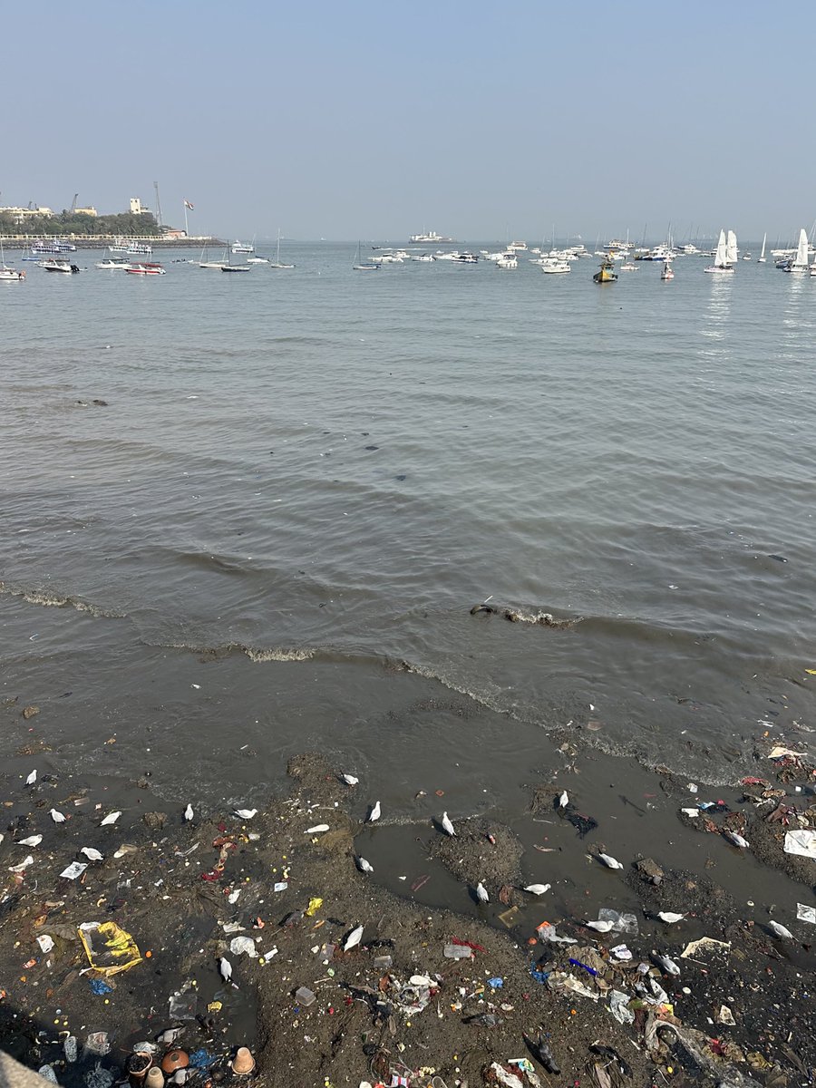 Eternal Drift tweet media