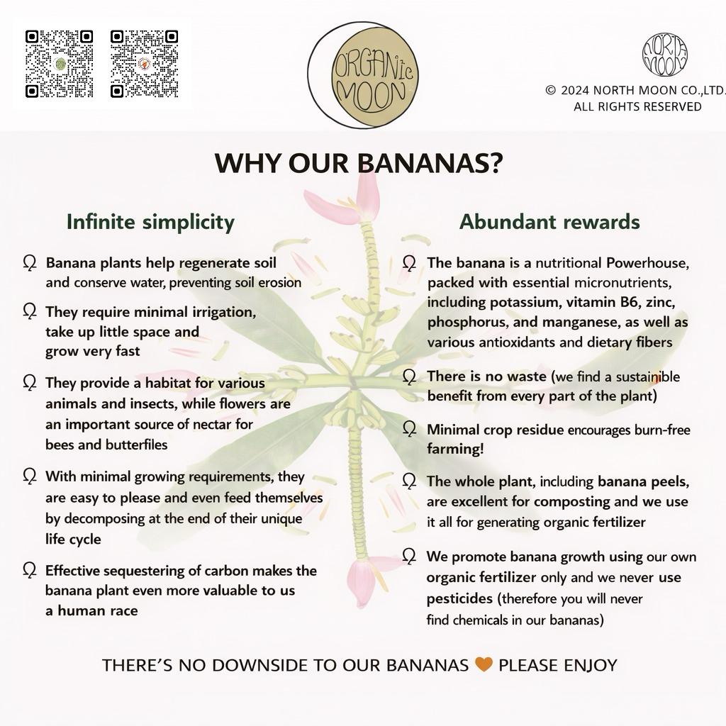 OrganicMoonPai's tweet photo. Why our bananas? 🍌Clean, organic, and sustainably grown — good for you and the planet. 🌱✨#organic #banana #organicmoon  link in bio https://t.co/PW87ForOb8
