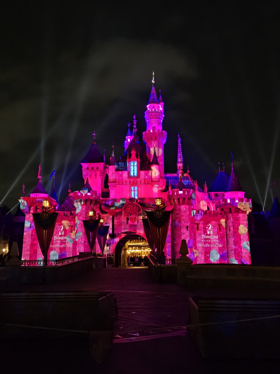 カリフォルニアディズニーのAfter dark、カップル推し＆ピンク尽くしで可愛かった