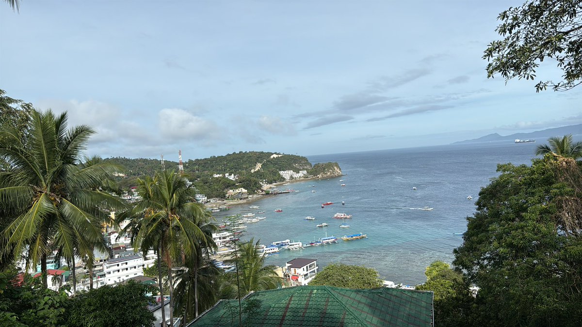 沙与沫 tweet media