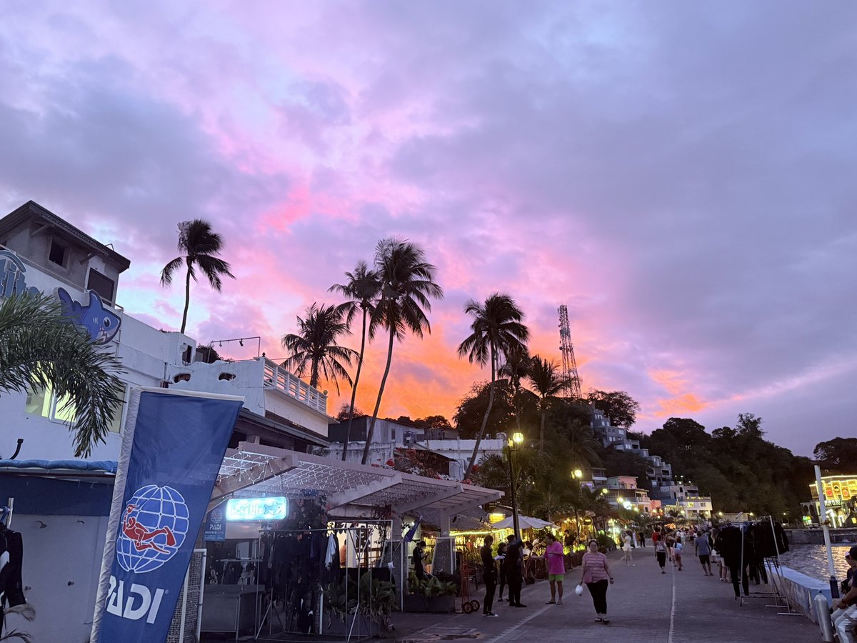 沙与沫 tweet media