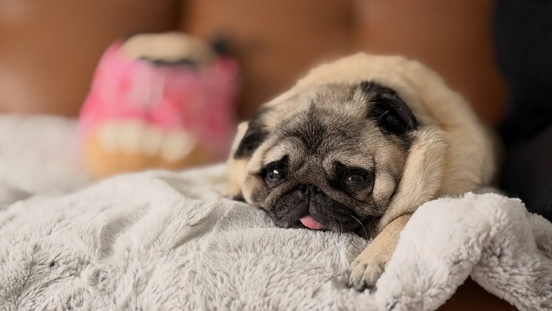 Mary M. Smithson56 tweet media