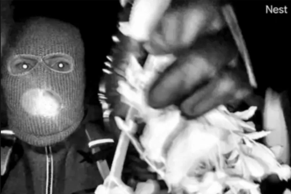 Paul Robertson 🇺🇸 tweet media