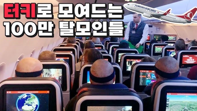 마젤란 tweet media
