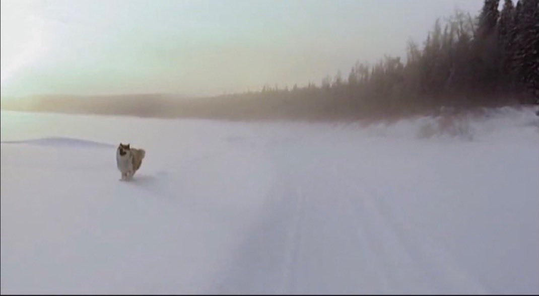 <a href="/NietzscheanSol_/">Nietzschean Penguin</a> Onwards.