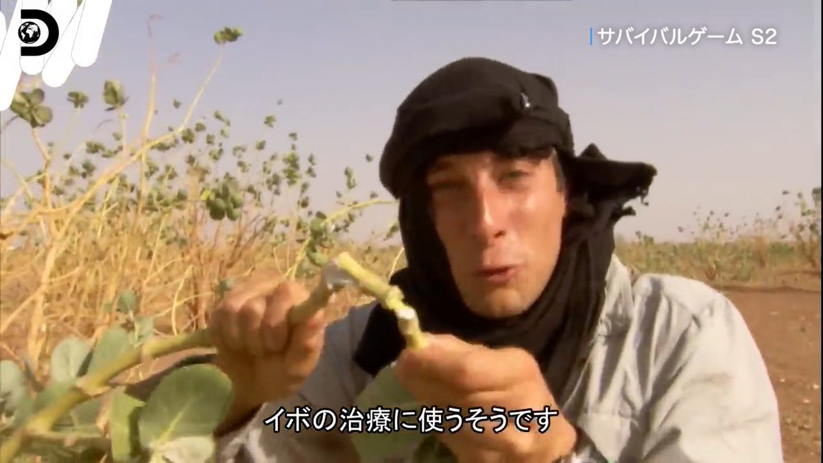 チョコ貰えなくて
あることないこと言ってくるベア

#ディスカバリーチャンネル