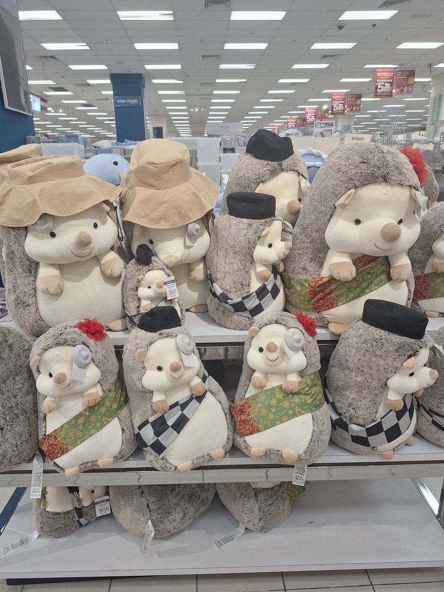 AEON is now selling CNY and even Raya hedgehogs in advance.