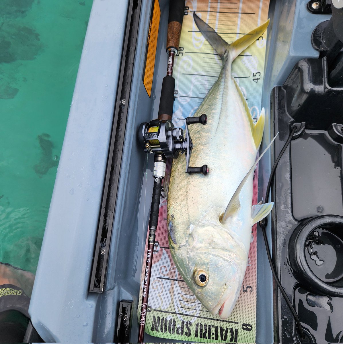 DEBUG_ST's tweet image. 近場でちょろっと今年初カヤックフィッシング🎣
BC4 5.10L×NEWグリップがぶち曲がり大興奮な週末🔥
単なるグリップのリニューアルではなく、むふふなバランス調整されワンハンドキャストや快適性操作性も向上していた😆👍
動画編集したらYouTubeにUPします🫡
#Fishman
#BC4
#カヤックフィッシング