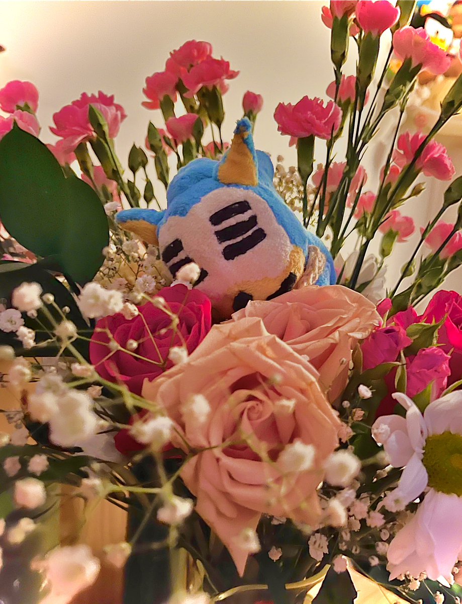 mushi☕ tweet media